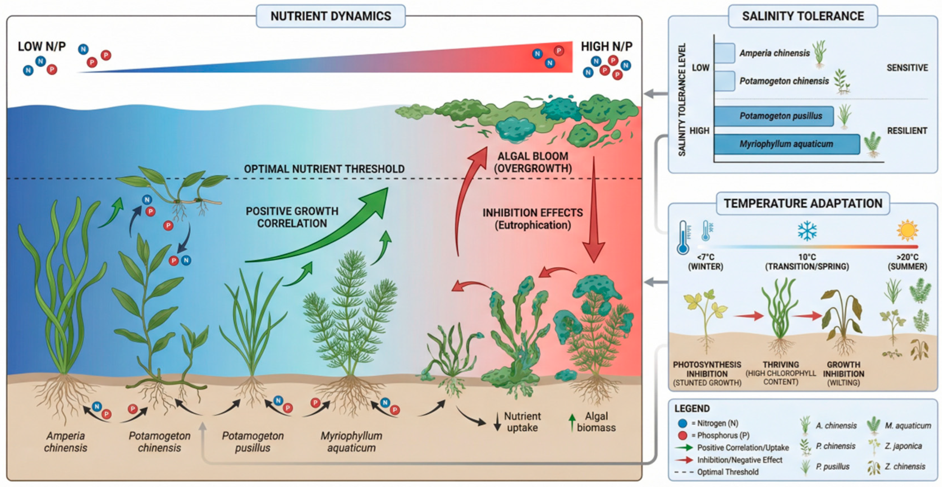 Environmental Parameters Simulation Analysis of Hydrodynamic and Water Environmental Thresholds ...