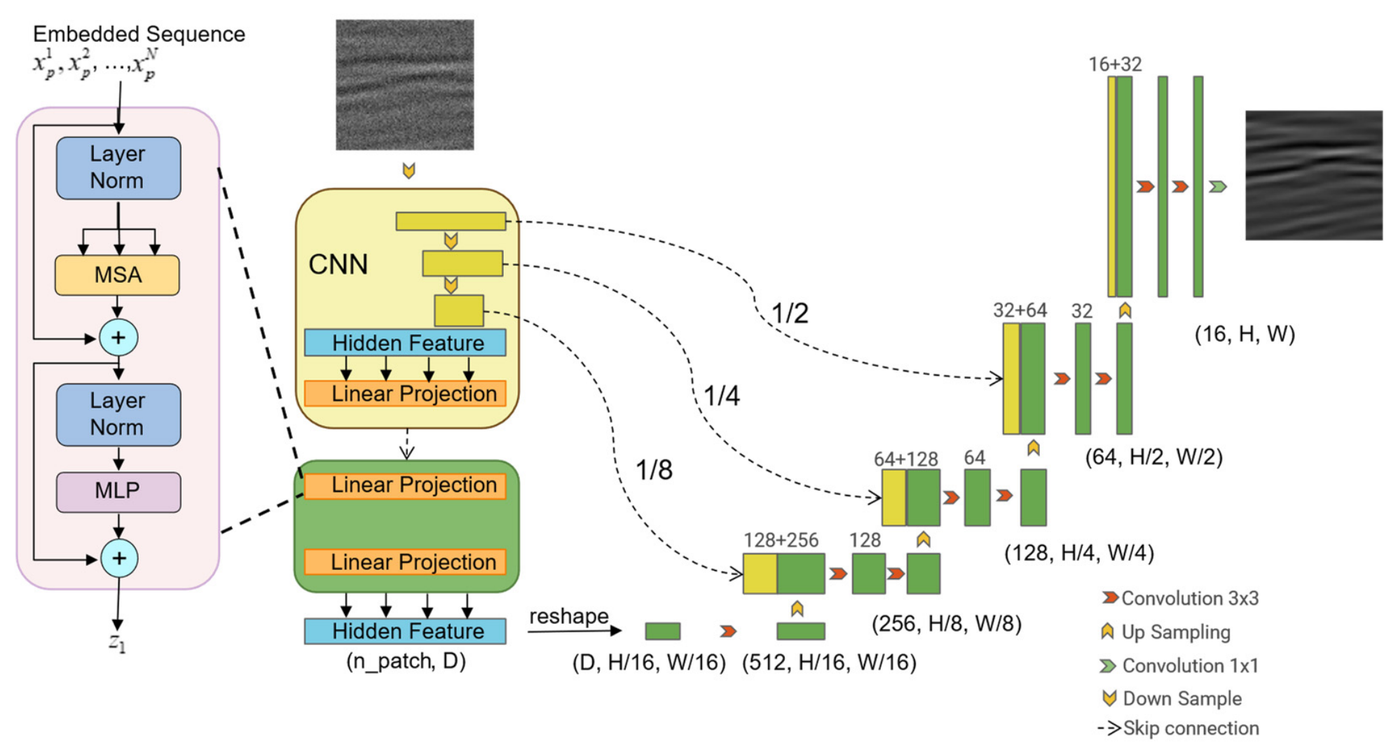 GPR Noise Reduction Network Based on Multi-Domain Constrained TransUNet