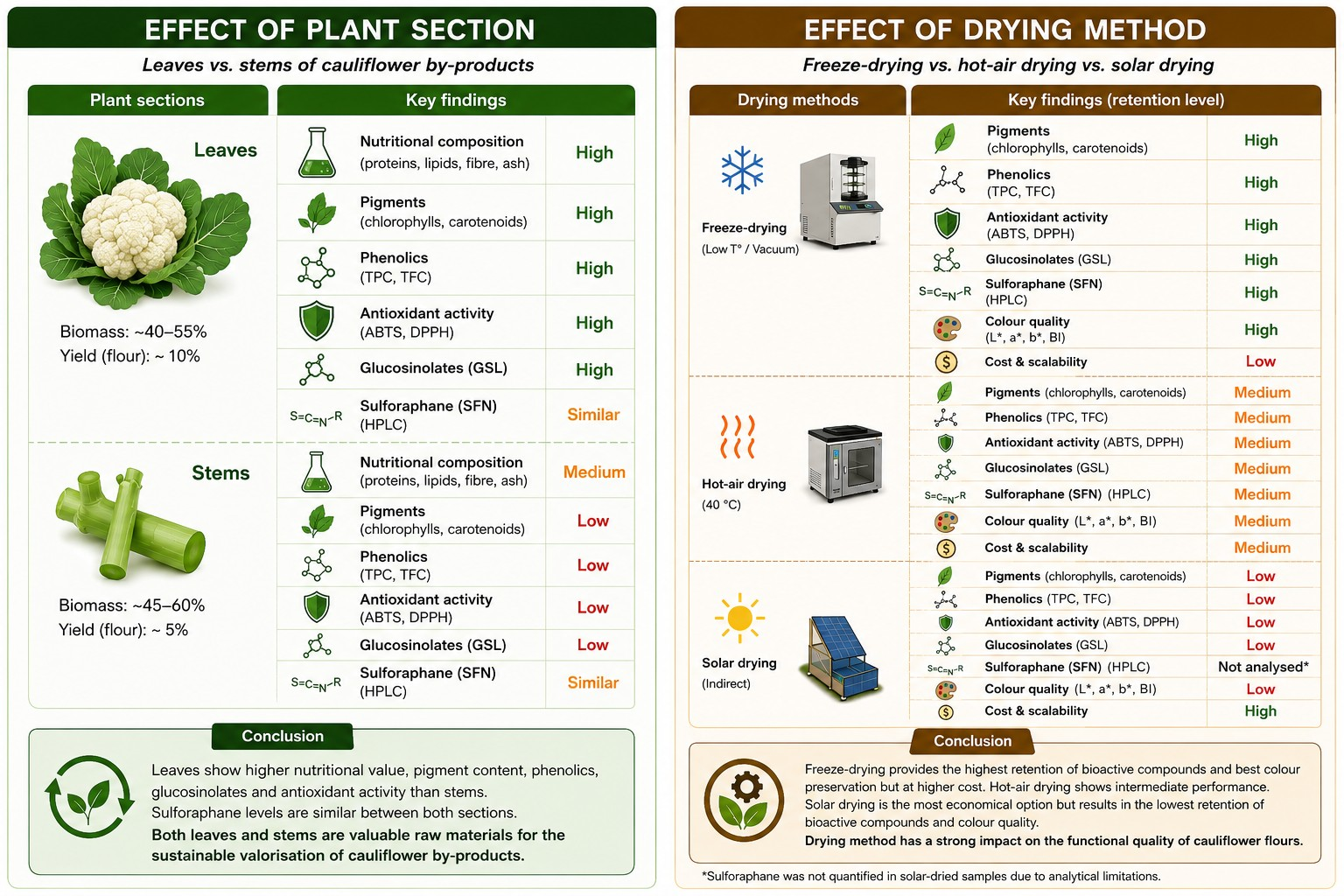 Effects of Drying Method and Plant Section on Bioactive Compounds ...