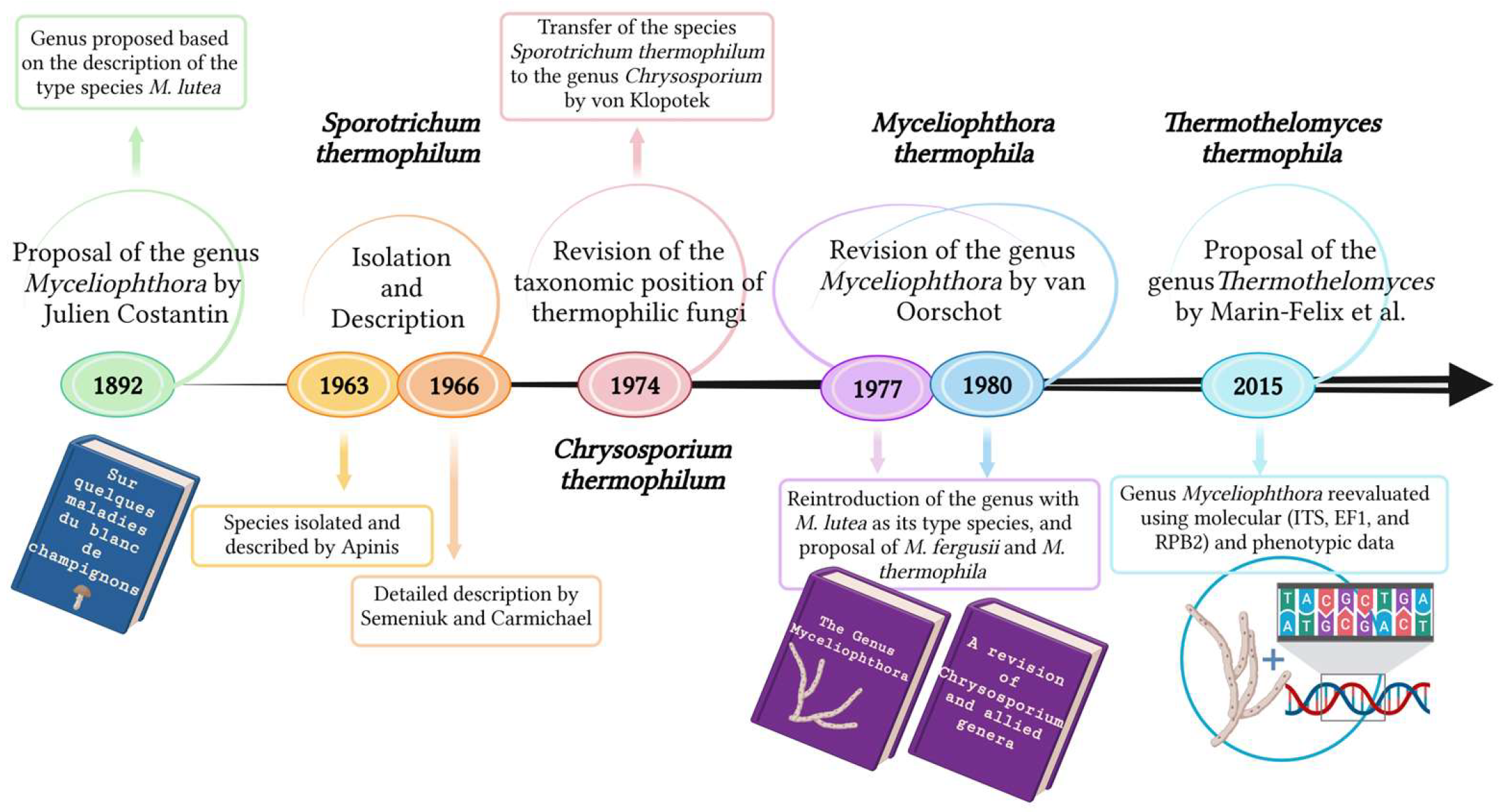 Myceliophthora thermophila as a Biotechnological Platform for Cellulase ...