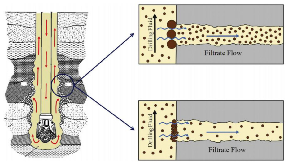 Complex Structural Variant Performance Evolution and Regulation of Bentonite-Based Drilling Fluids ...