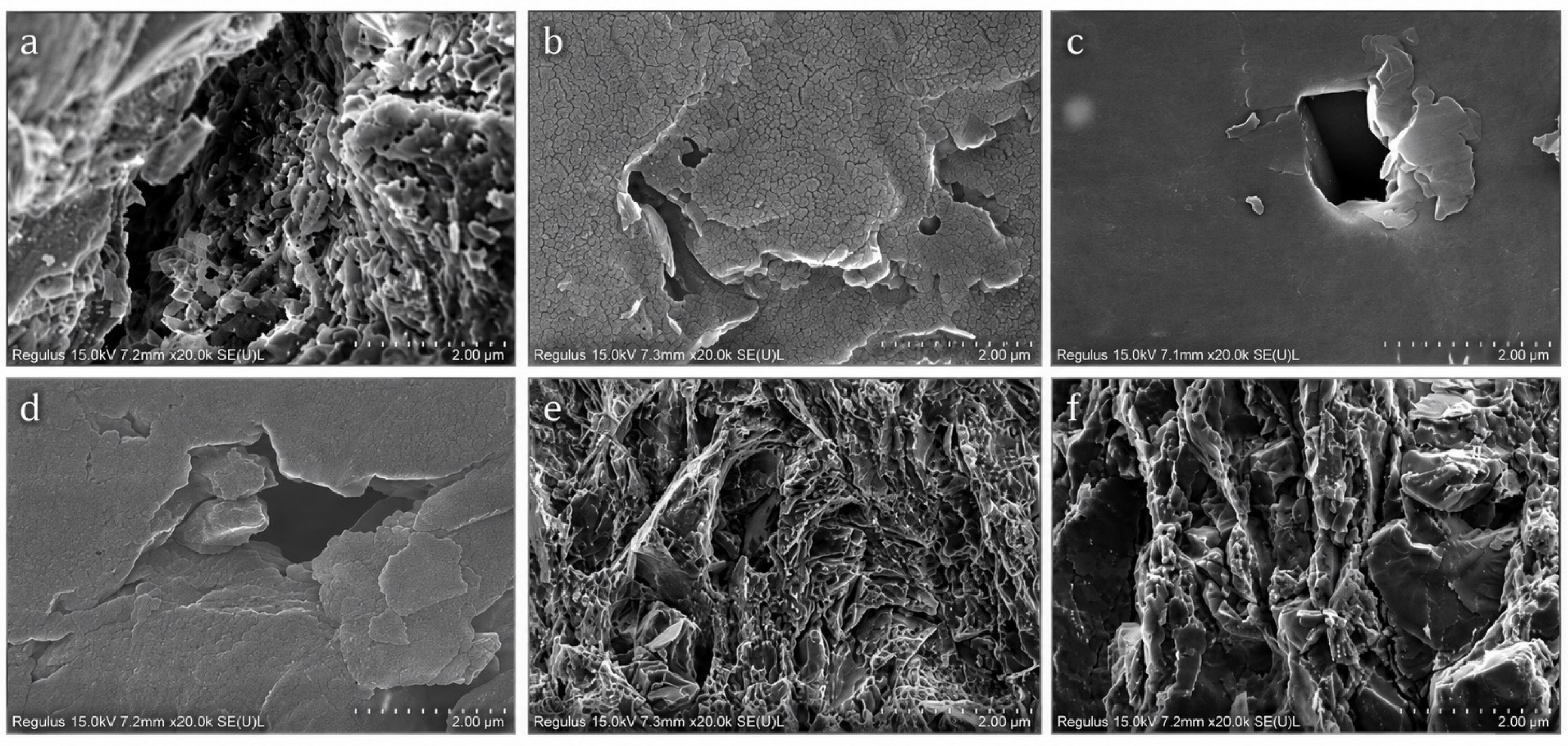 Coal-Body Structural Evolution, Multiscale Pore-System Reorganization ...