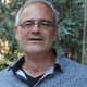 Prof. Dr. Stefano Falcinelli avatar image