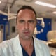 Dr. Gianfranco Mitacchione avatar image
