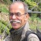 Prof. Domenico Calcaterra avatar image