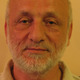 Prof. Dr. Mihai Postolache avatar image