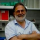 Dr. José A. García-Sanz avatar image
