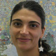 Dr. Arianna D'Ulizia avatar image
