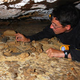 Dr. José Yravedra-Sainz de los Terreros avatar image