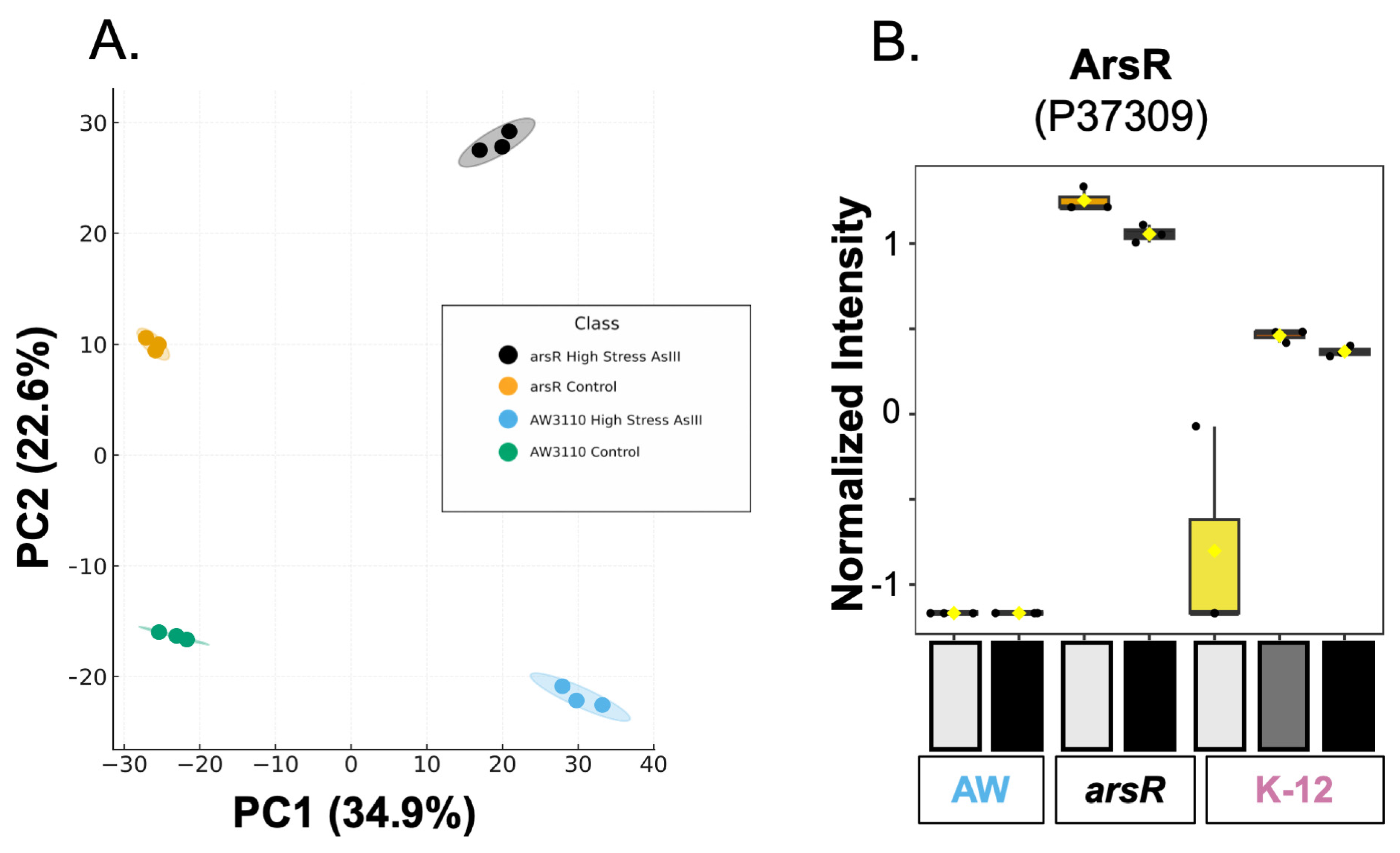 Beyond Repression: ArsR Functions as a Global Activator of Metabolic ...