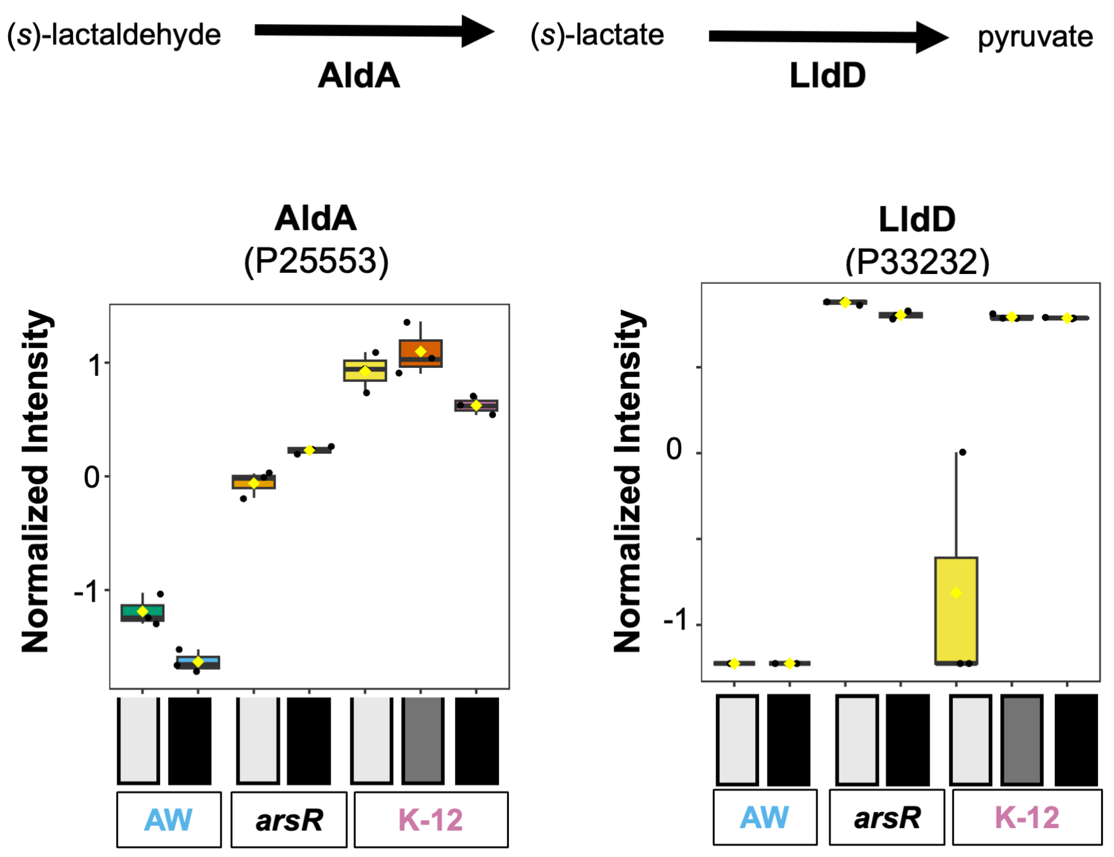 Beyond Repression: ArsR Functions as a Global Activator of Metabolic ...