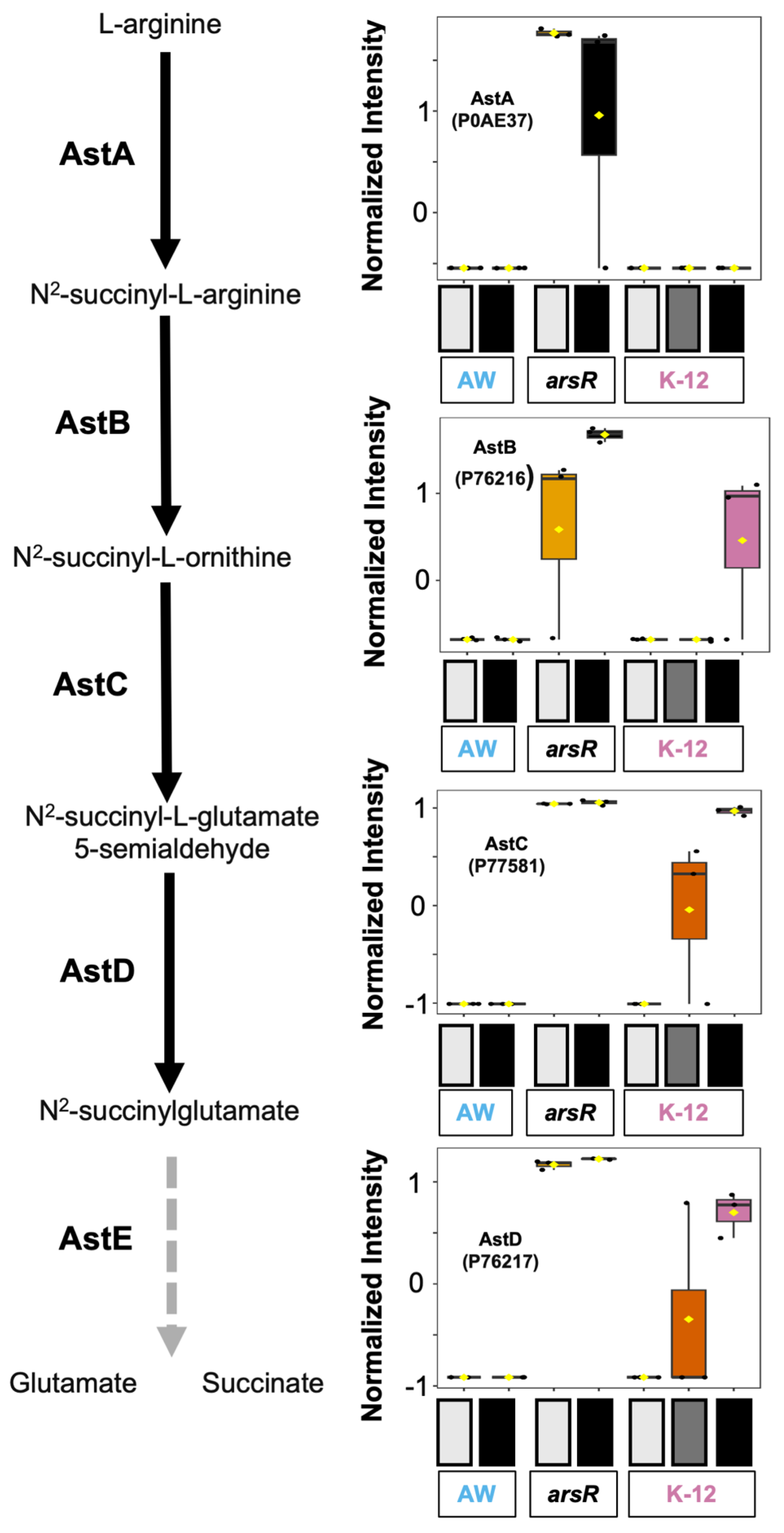 Beyond Repression: ArsR Functions as a Global Activator of Metabolic ...