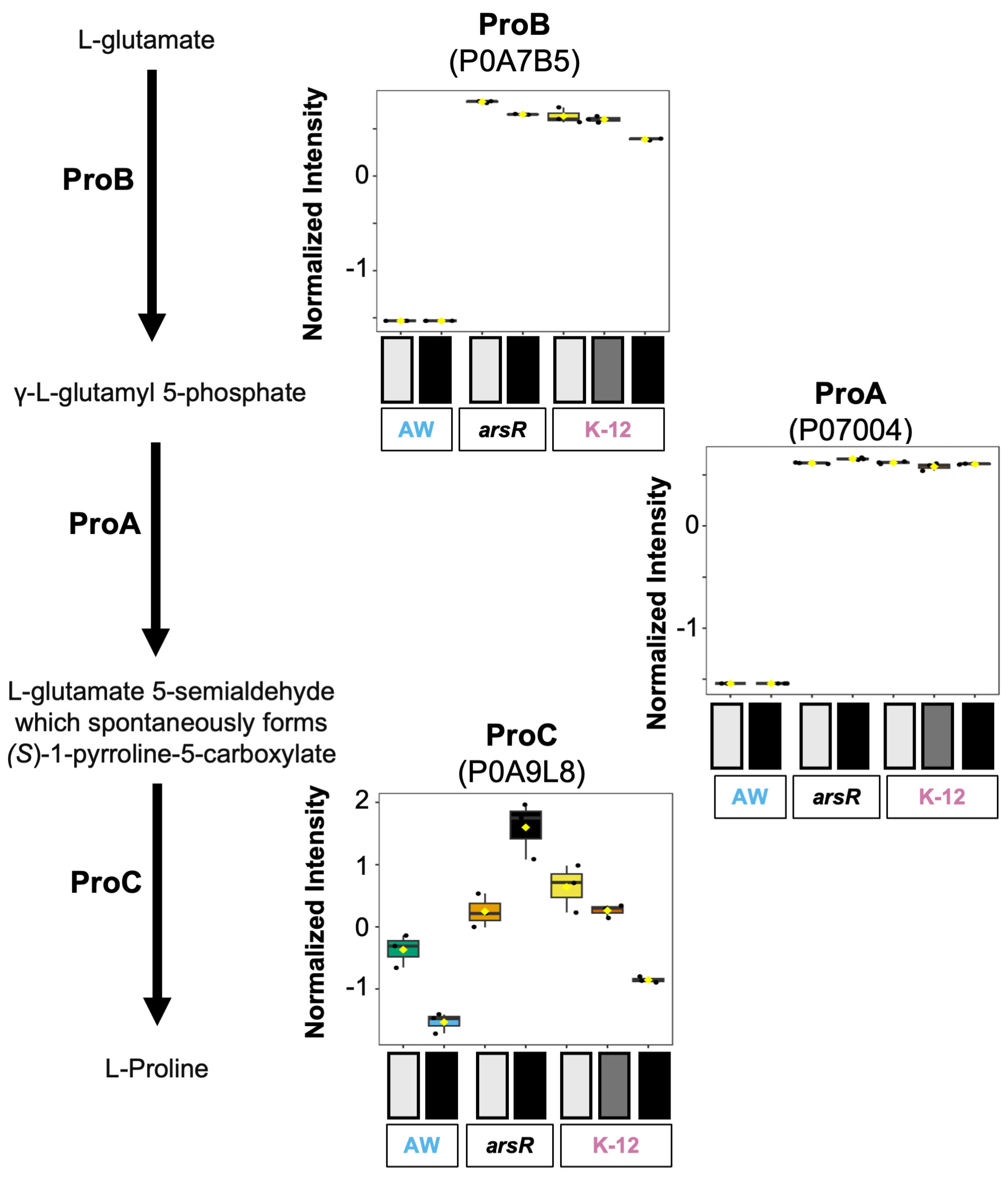 Beyond Repression: ArsR Functions as a Global Activator of Metabolic ...