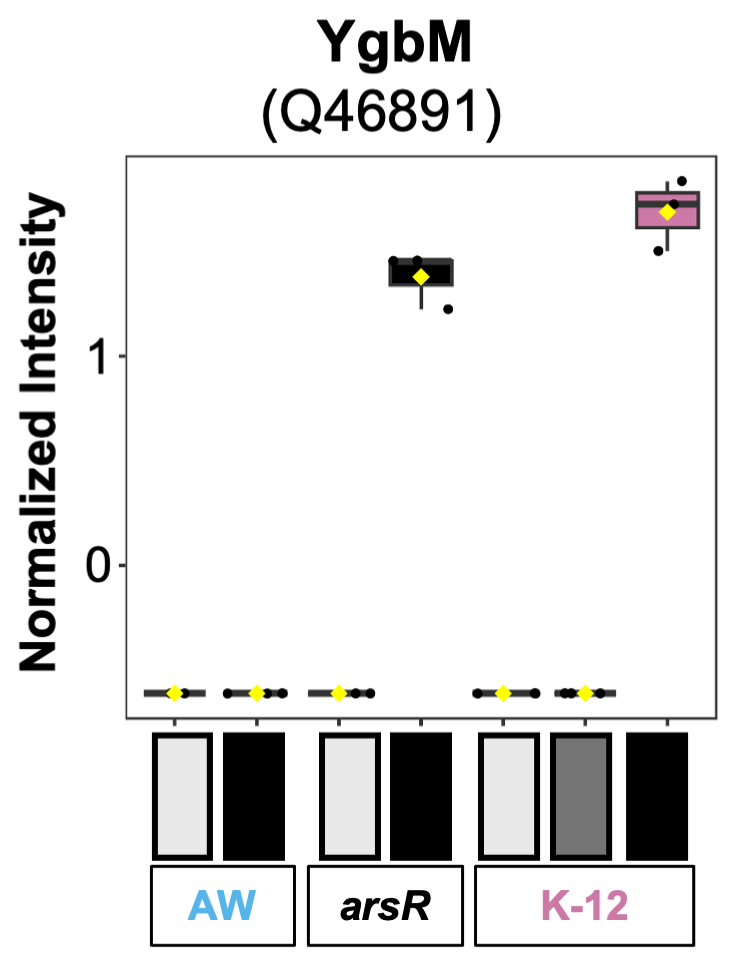 Beyond Repression: ArsR Functions as a Global Activator of Metabolic ...