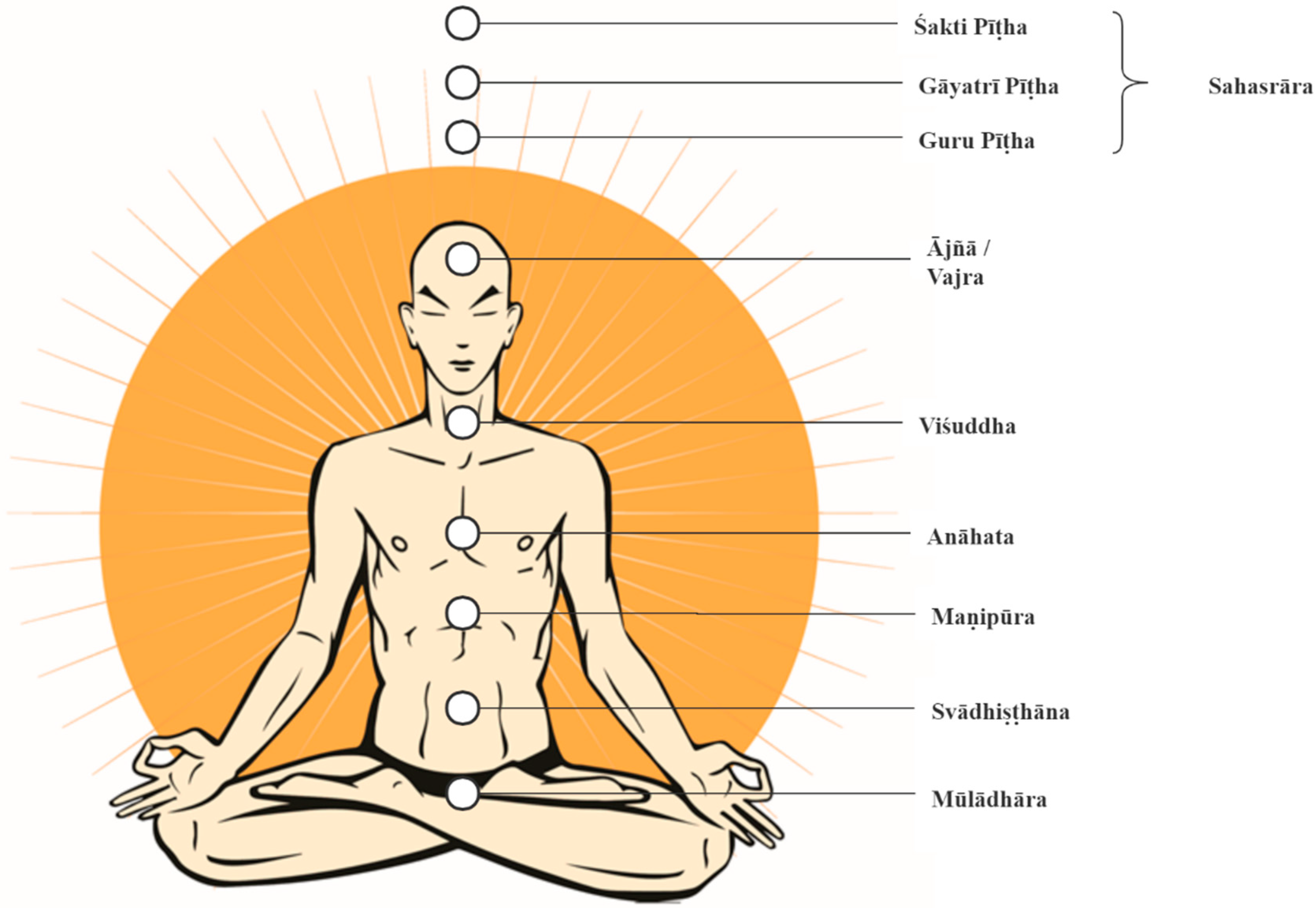  10 Lines On Daily Routine In Sanskrit Dinacharya Daily Routine In 