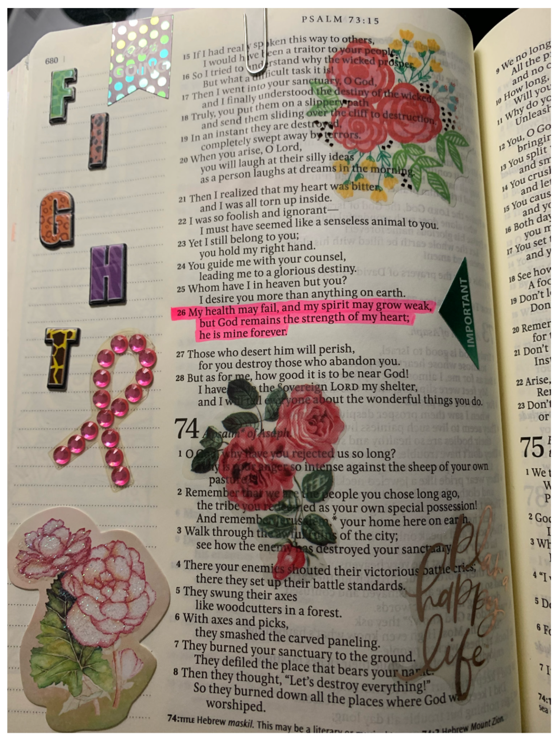 Blooming Faith: Bible Verses about Roses and Their Spiritual Significance
