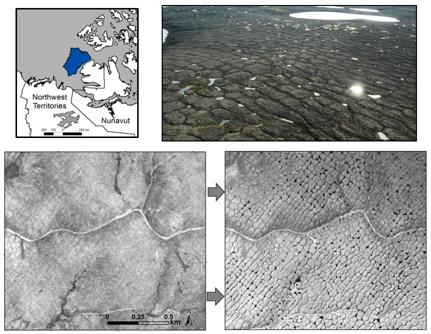 Drying of tundra landscapes will limit subsidence-induced acceleration of  permafrost thaw