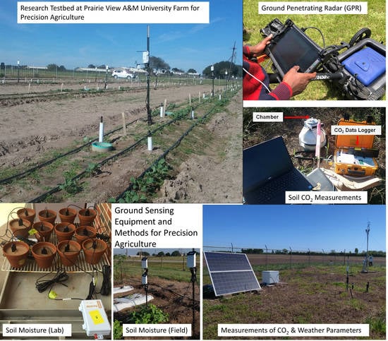 Precision Agriculture: Enhancing Crop Yields With CO2 Sensors  