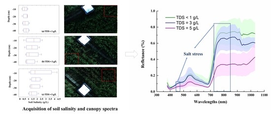 Remote Sensing | Free Full-Text | Relating Hyperspectral Vegetation