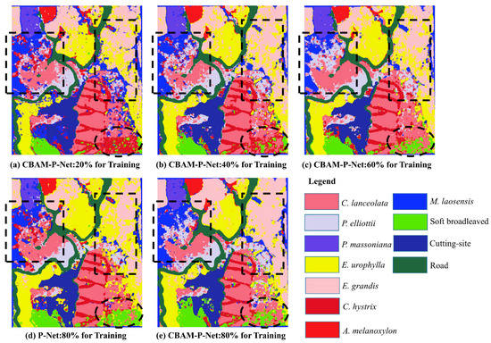 Remote Sensing Special Issue Remote Sensing Of Biodiversity In Tropical Forests 7199