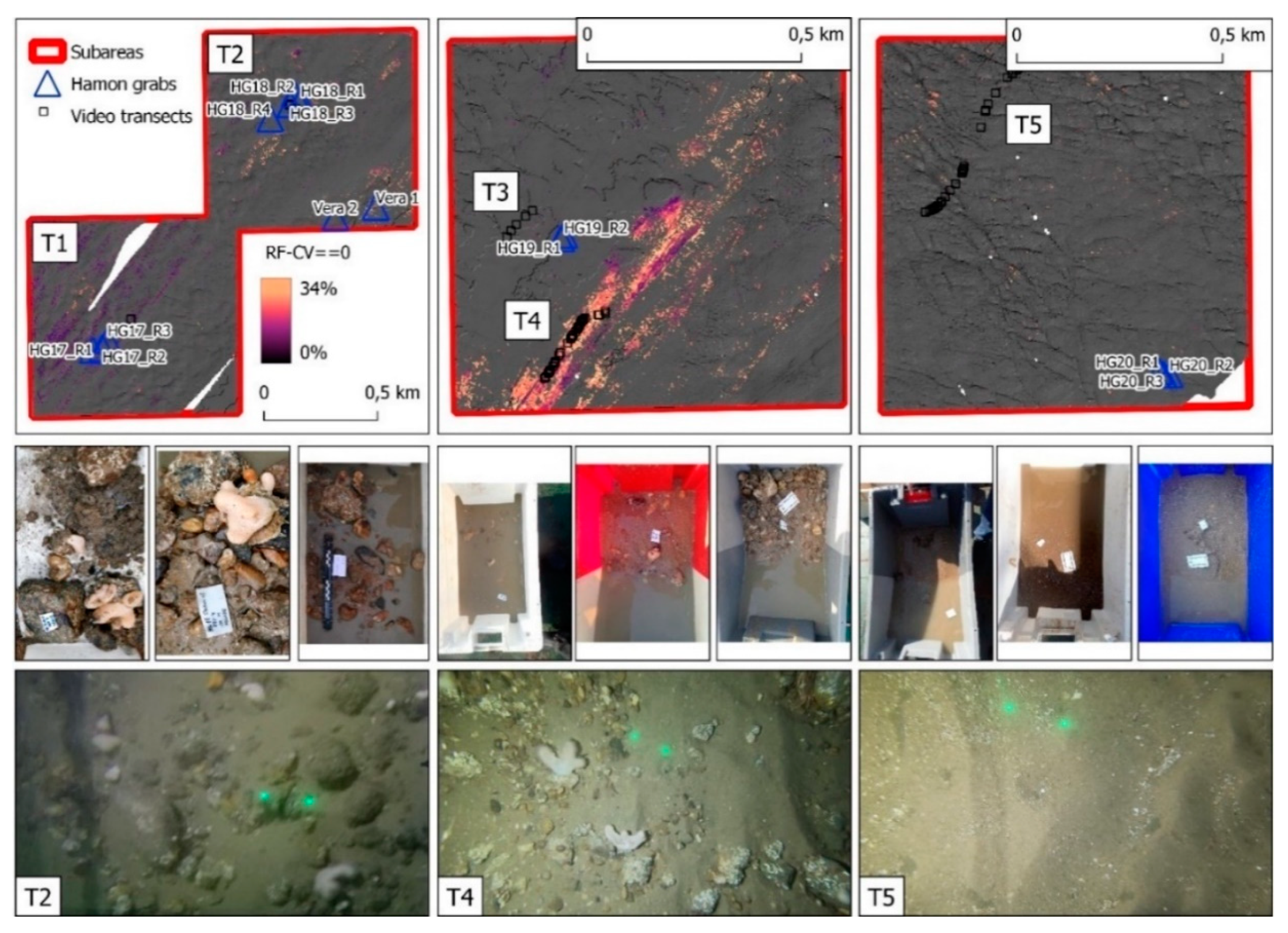 Remote Sensing | Free Full-Text | Subtidal Natural Hard Substrate