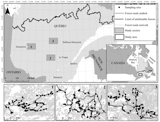 Measuring Spatial and Temporal Gravelled Forest Road Degradation in the ...