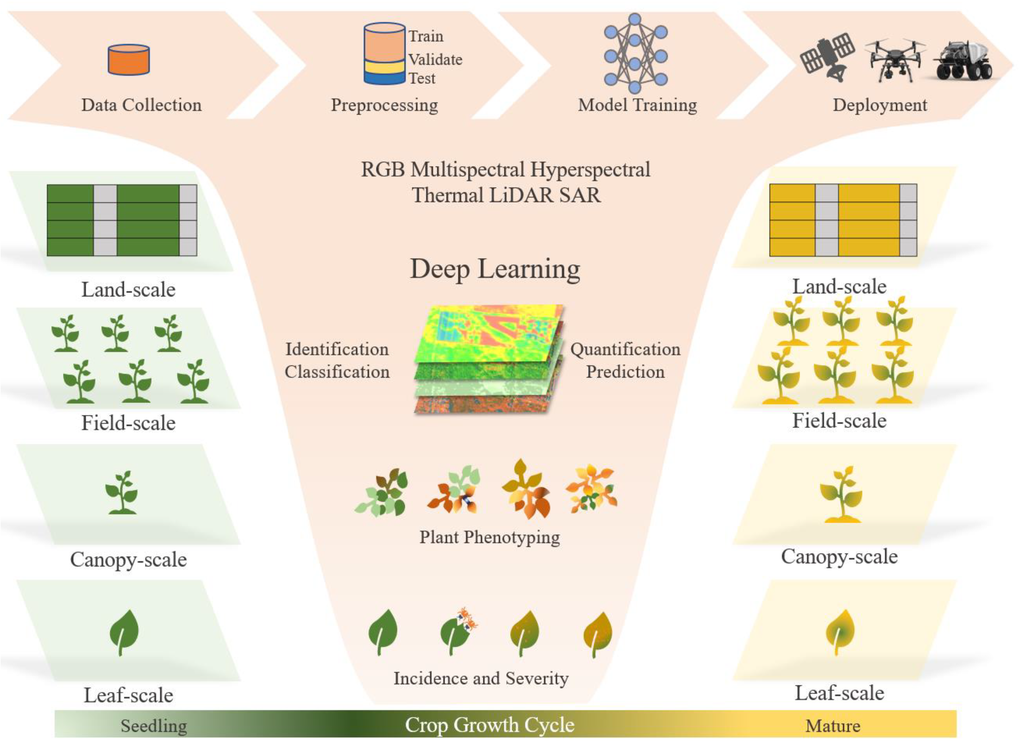 Remote Sensing | Free Full-Text | A Review of Deep Learning in 