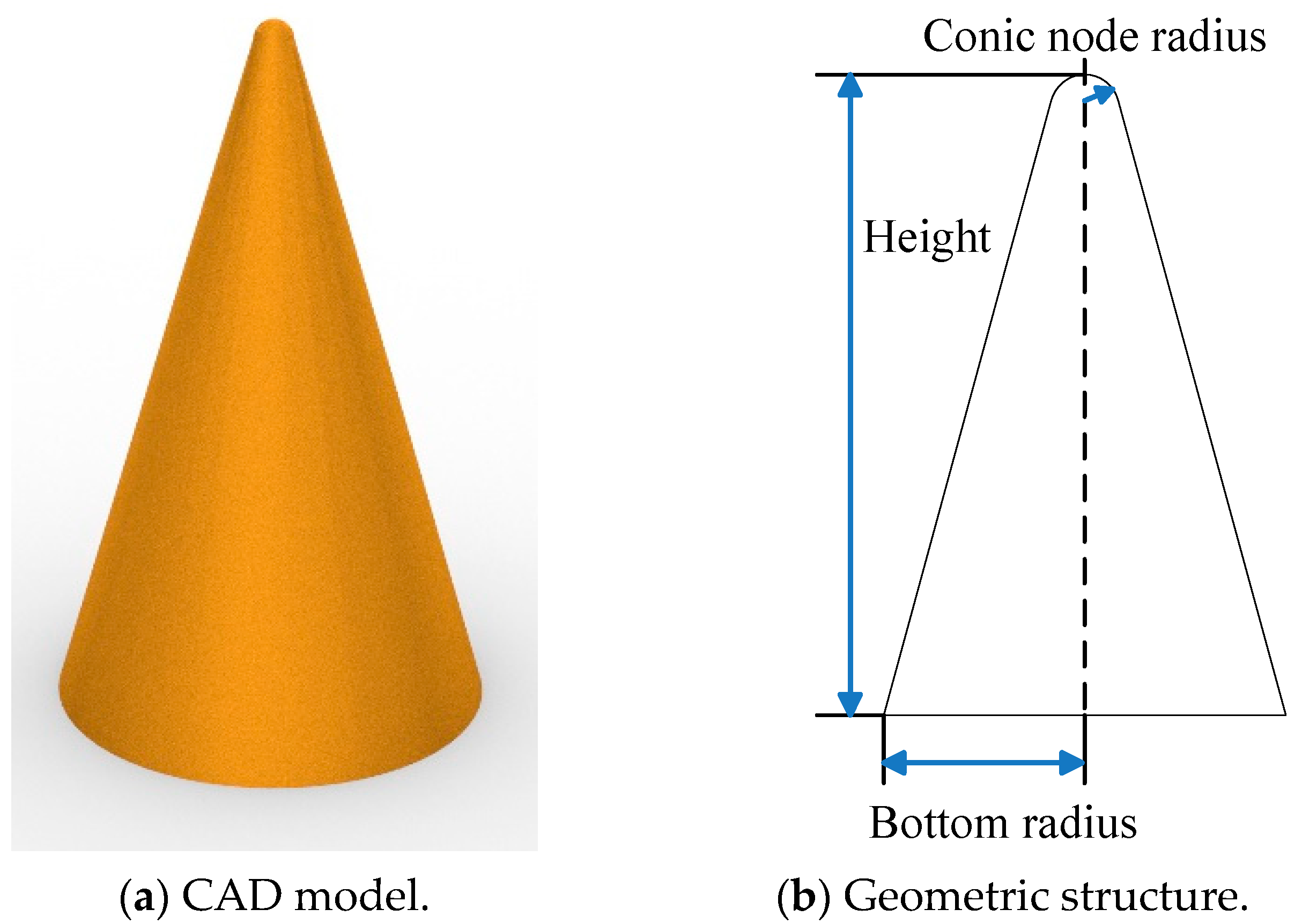 Schematic representations of cone-, cylinder-and inverse-cone-shaped