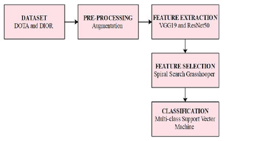 chart dior organizational structure