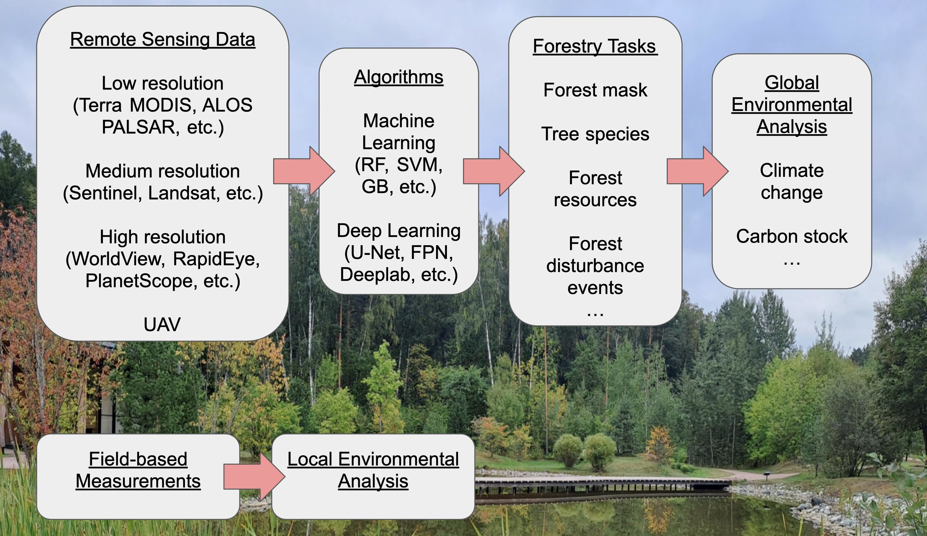 PDF) Characterization and Conservation Status of Evergreen
