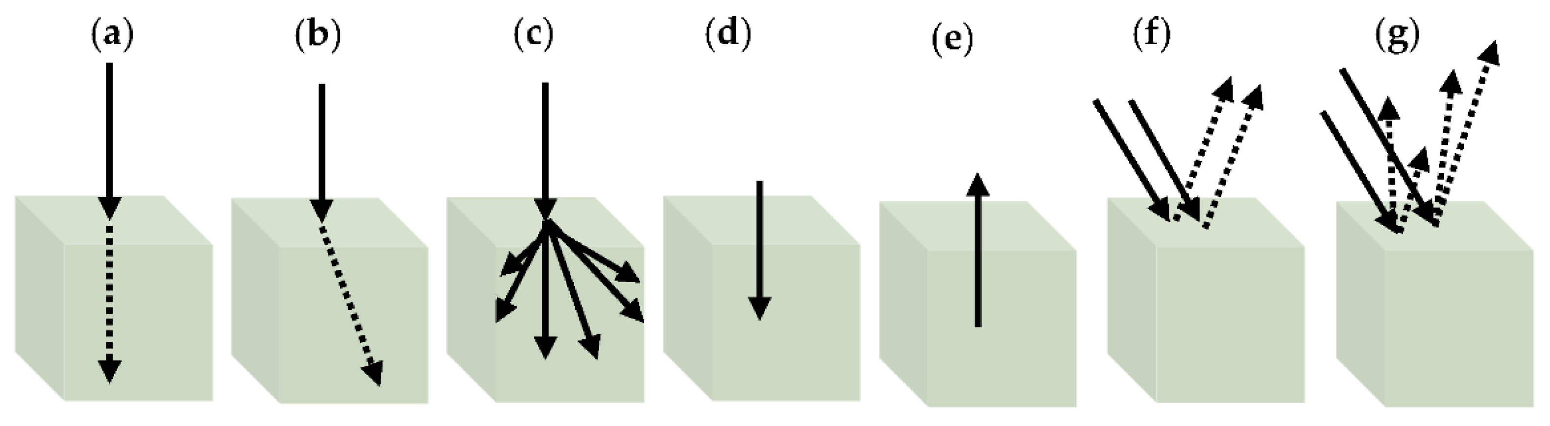 Segmented images of wheat refractions (a) sound grains, (b) damaged