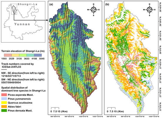 Comparative Study on Remote Sensing Methods for Forest Height Mapping ...