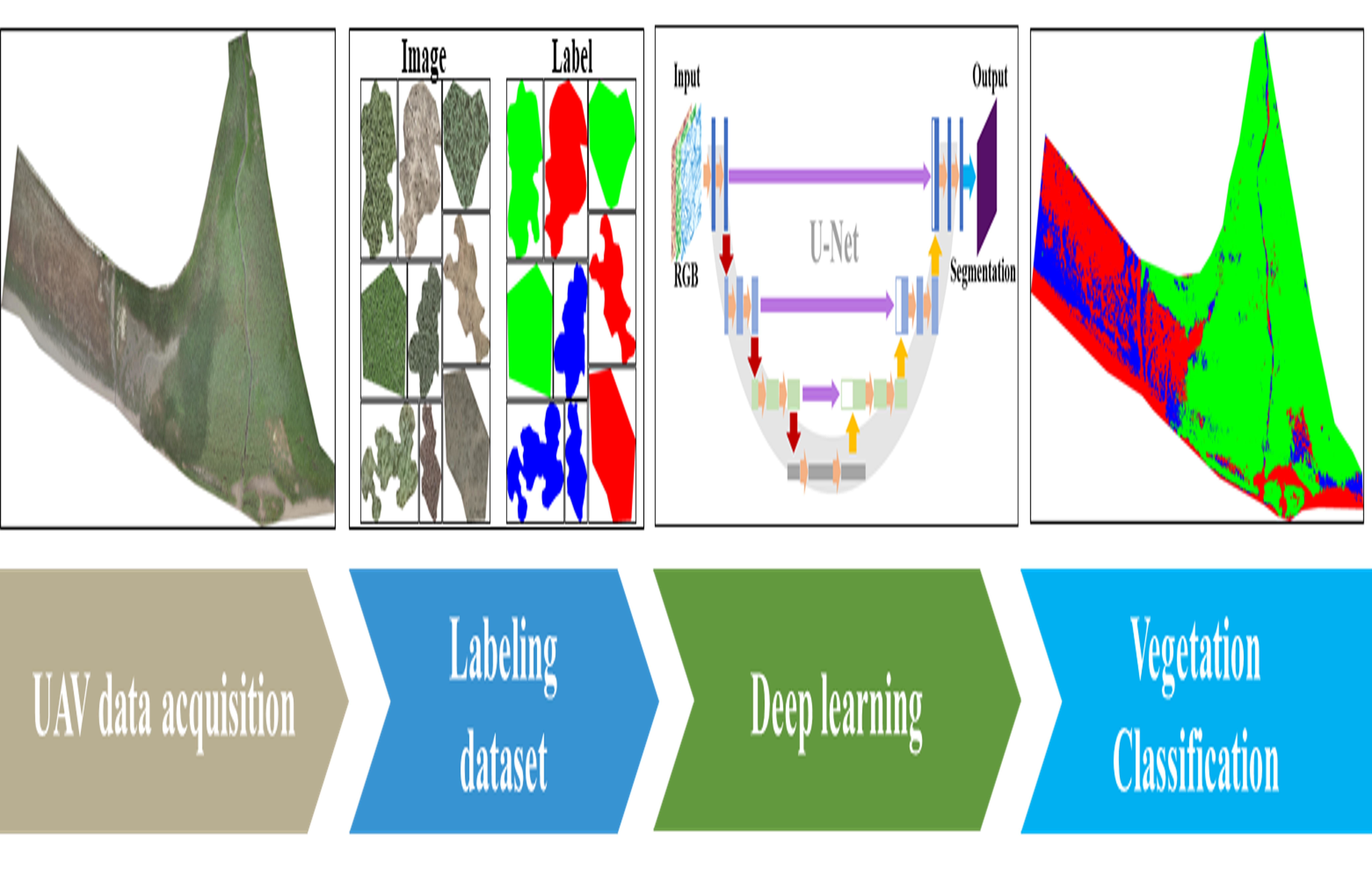 Remote Sensing | Free Full-Text | Deep Learning of High-Resolution Unmanned Aerial Vehicle Imagery for Classifying Halophyte Species: A Study Small Patches and Mixed Vegetation