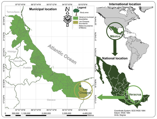 Initial Growth of Gmelina arborea and Efficacy of RGB Image to