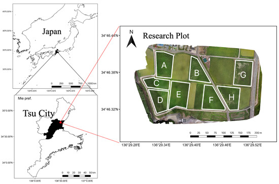 Remote Sensing | Free Full-Text | Estimation of Rice Plant Coverage ...