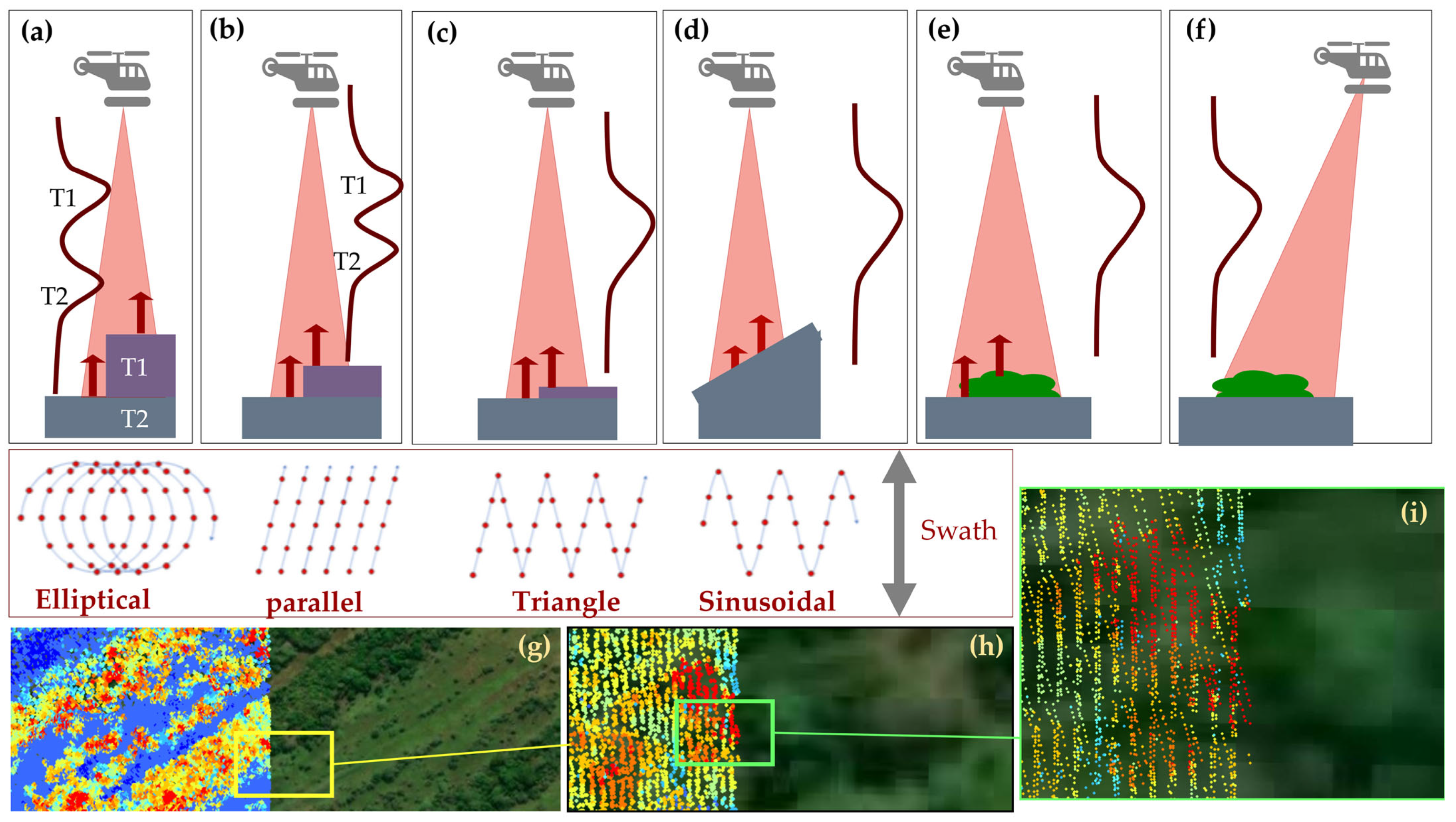 Interdisciplinary Applications of LiDAR in Forest Studies: Advances in ...