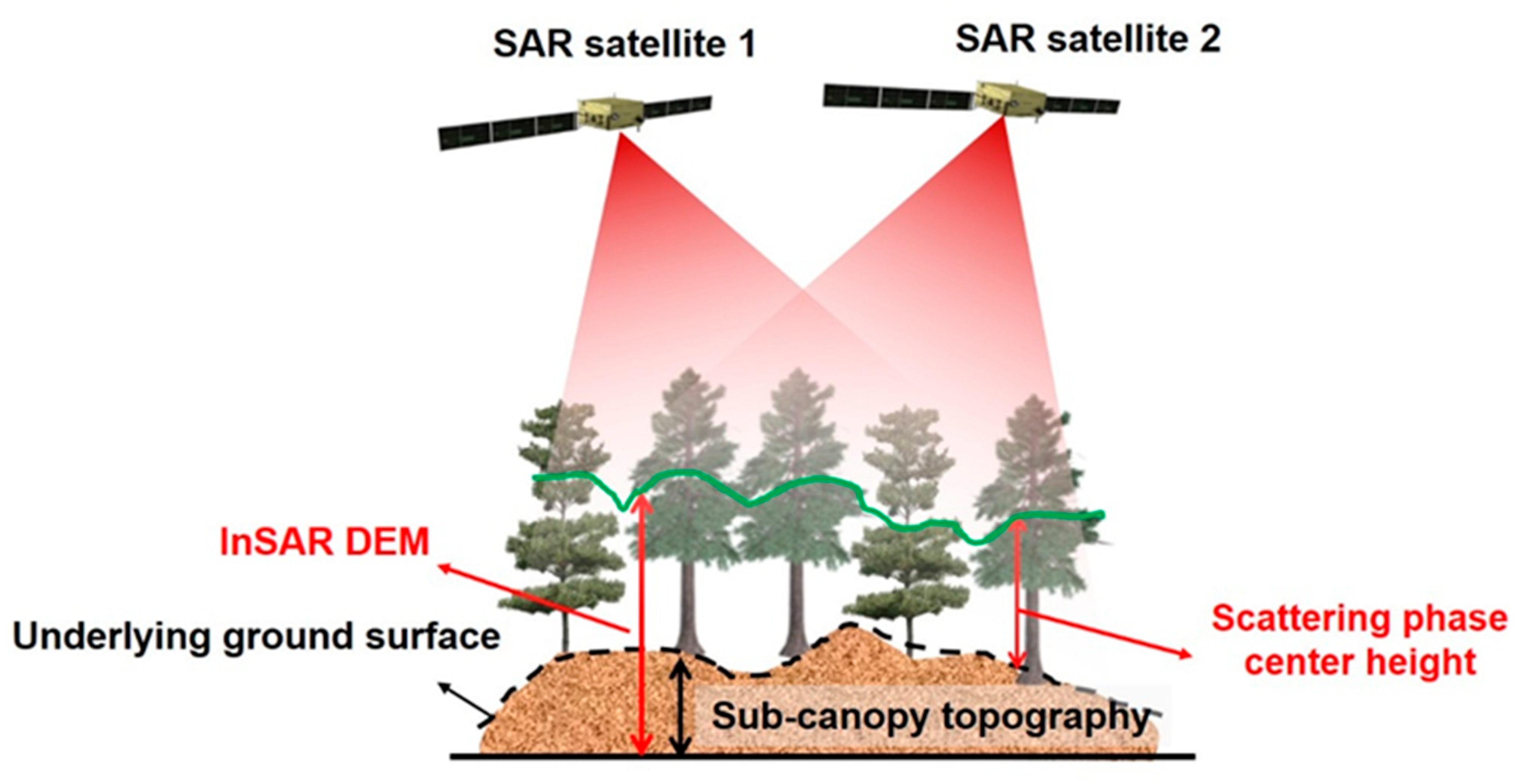 Sub-Canopy Topography Inversion Using Multi-Baseline Bistatic InSAR ...