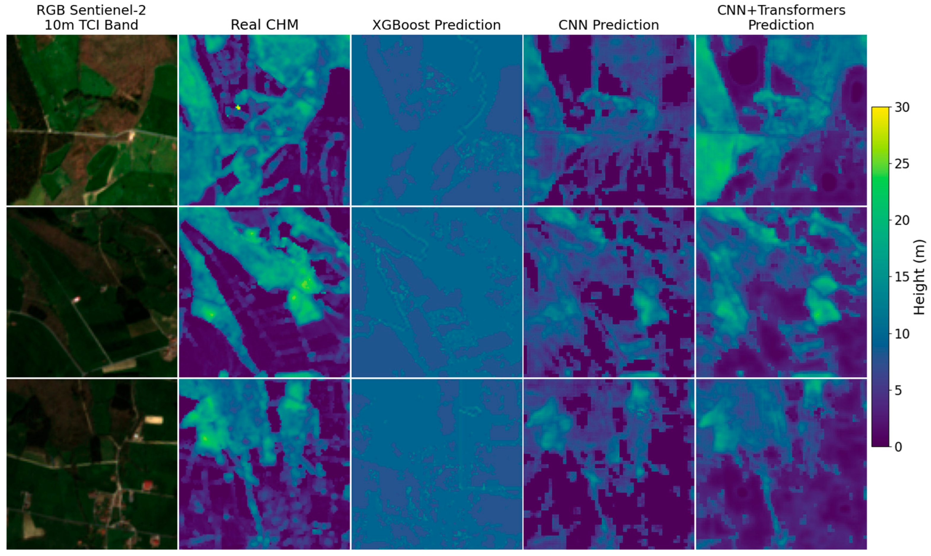 Assessing the Impact of LiDAR Density and Input Features on Forest ...
