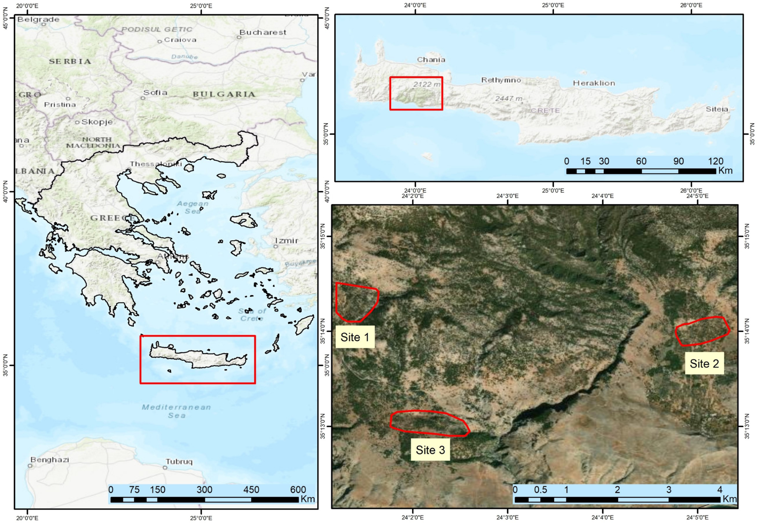 Assessing Drought-Induced Tree Mortality in Open Mediterranean Forests ...