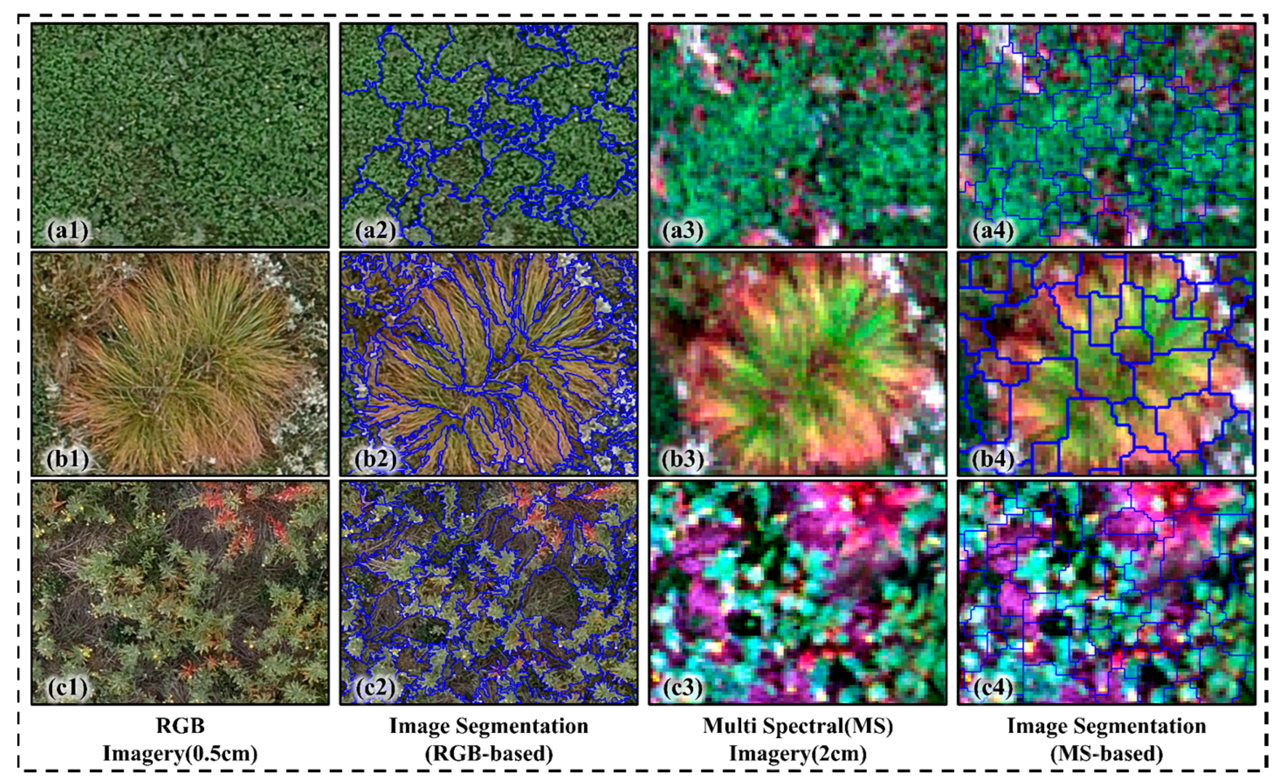 Improved Grass Species Mapping in High-Diversity Wetland by Combining ...
