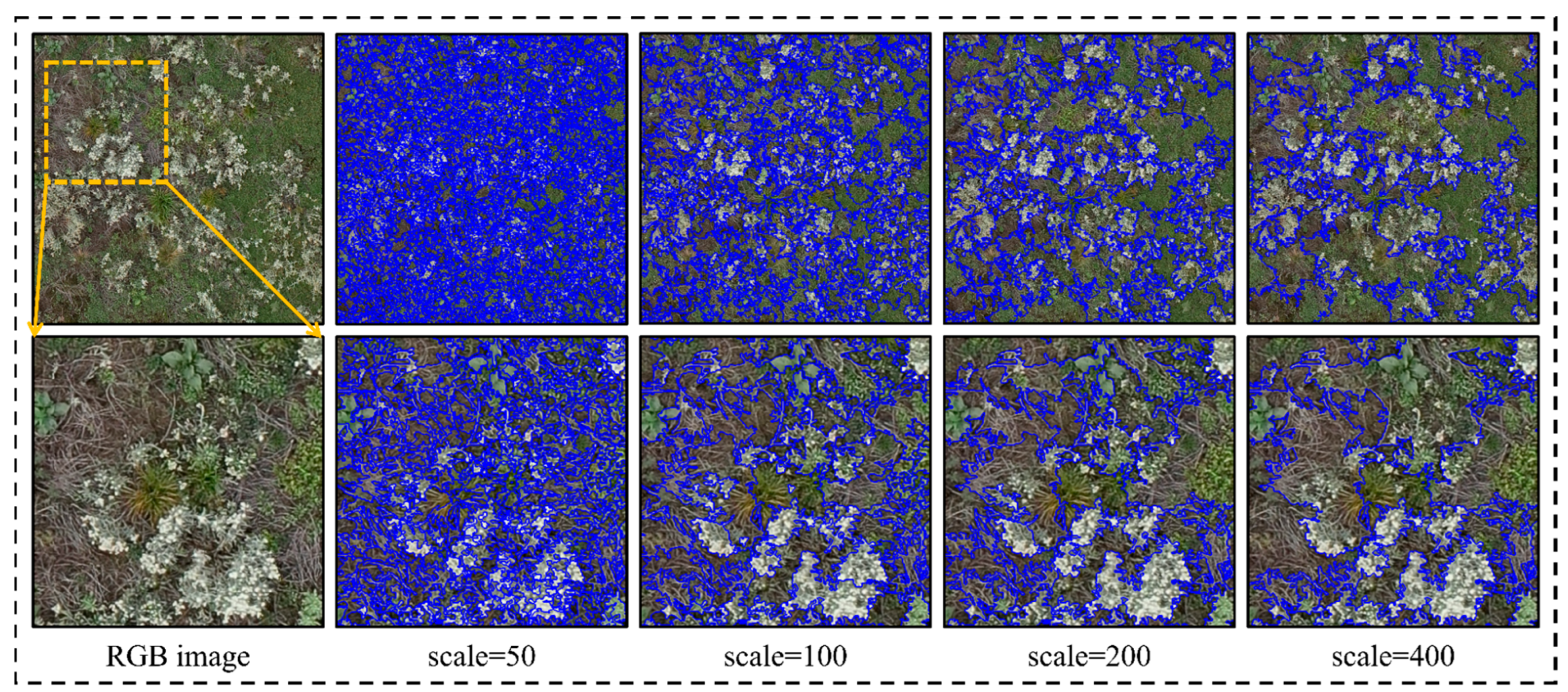 Improved Grass Species Mapping in High-Diversity Wetland by Combining ...