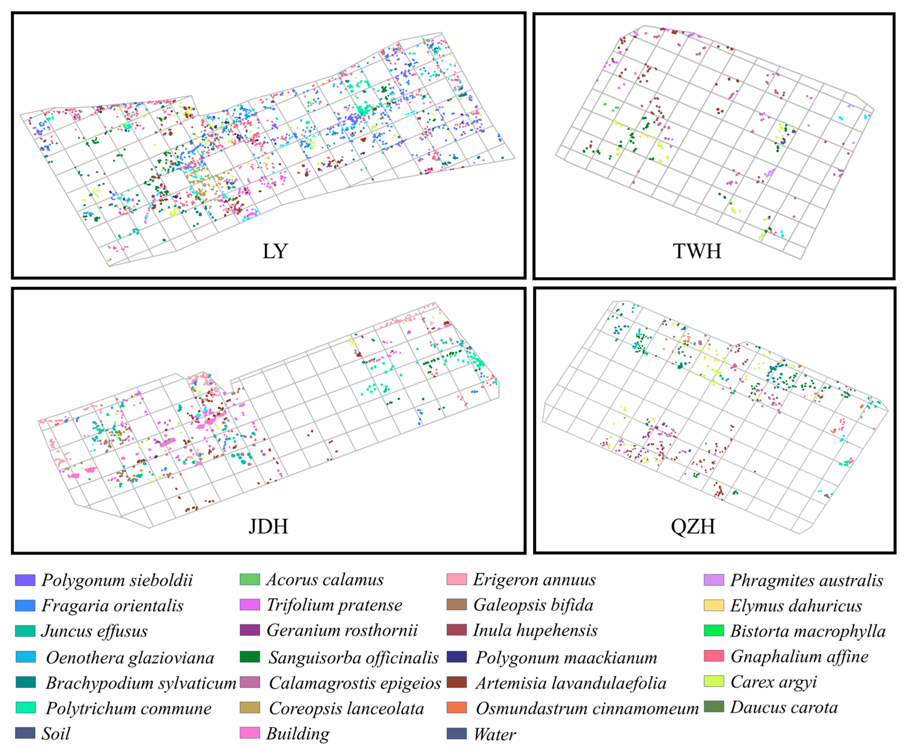 Localized Grass Improved Grass Species Mapping in High-Diversity Wetland by Combining ...