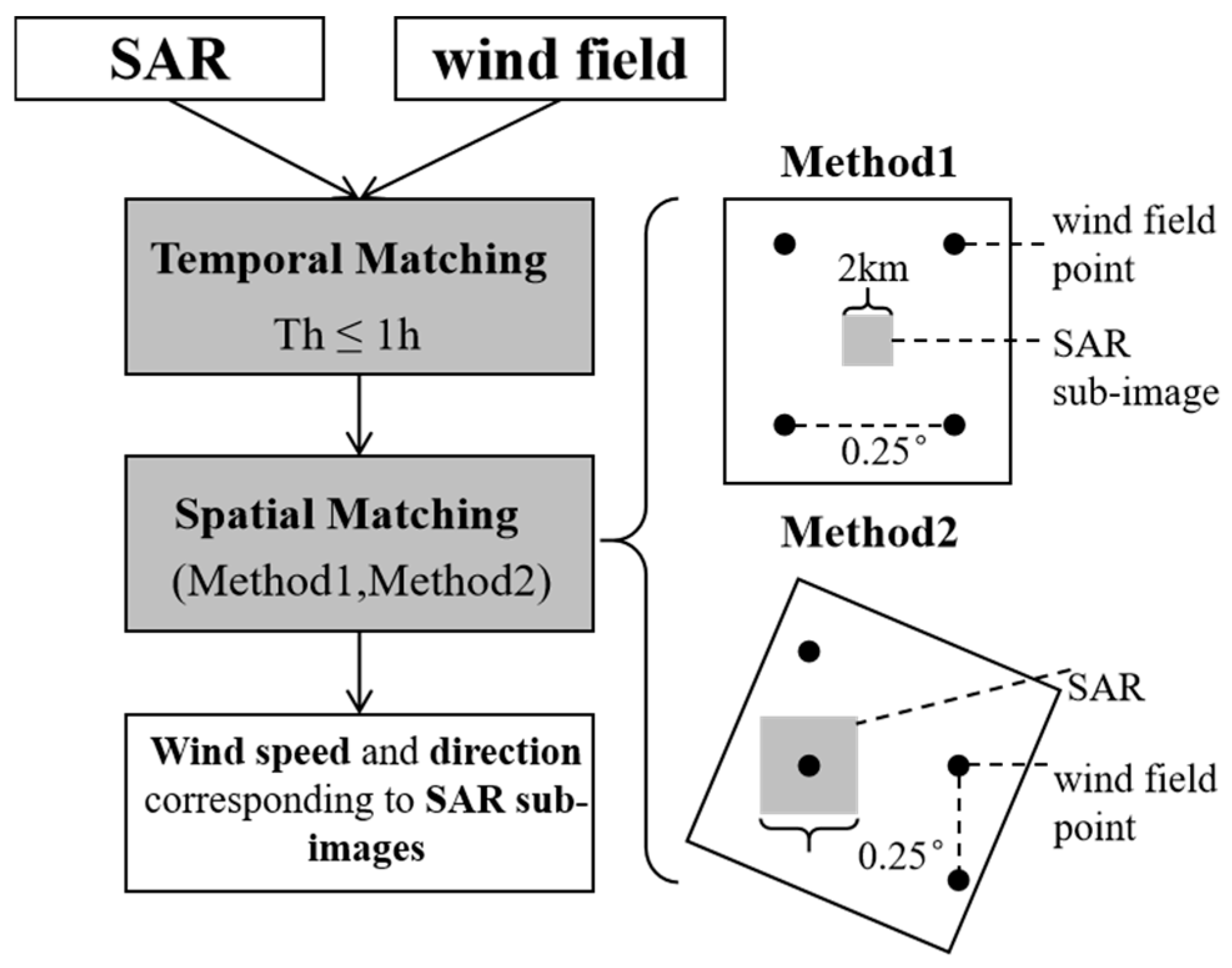 Sea Surface Wind Speed Retrieval with a Dual-Branch Feature-Fusion ...