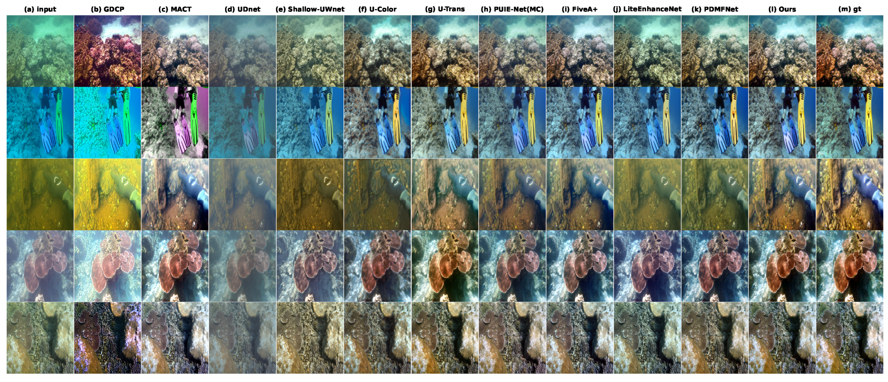 Underwater Image Enhancement via HSV-CS Representation and Perception ...