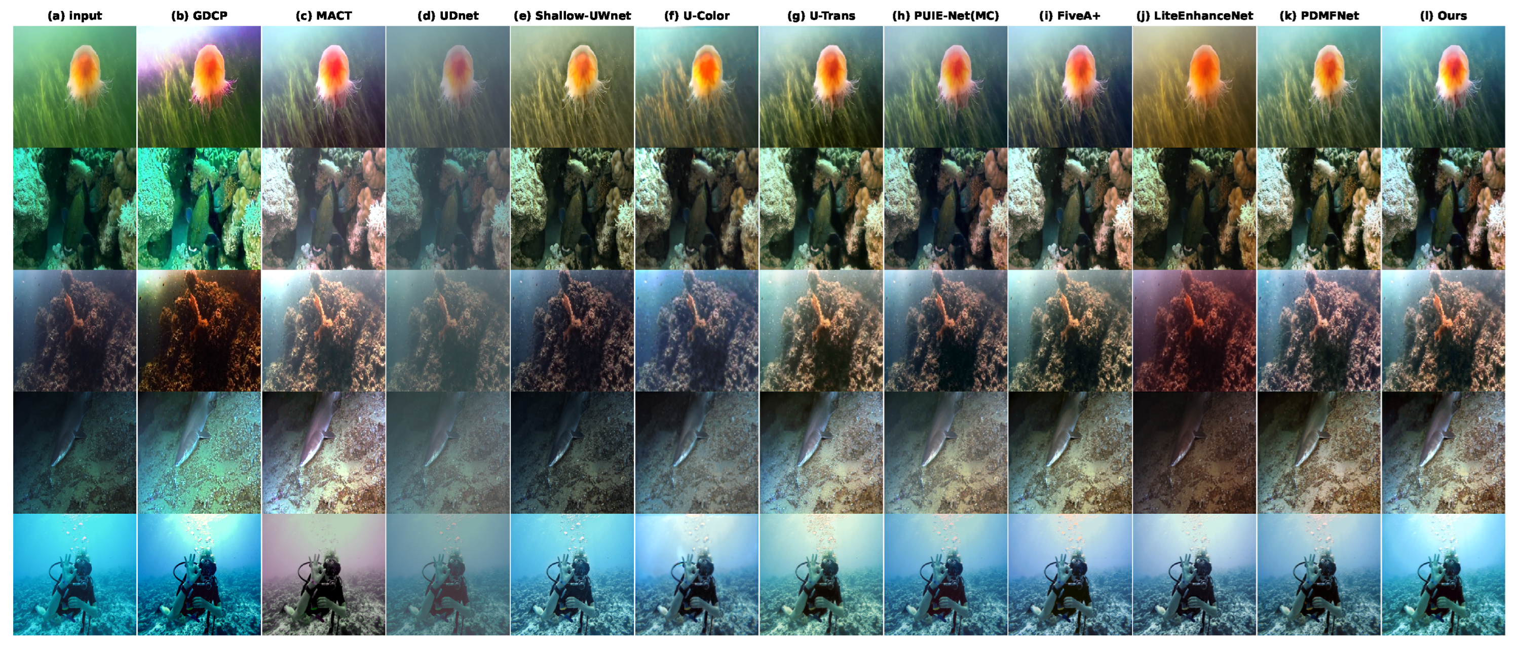 Underwater Image Enhancement via HSV-CS Representation and Perception ...