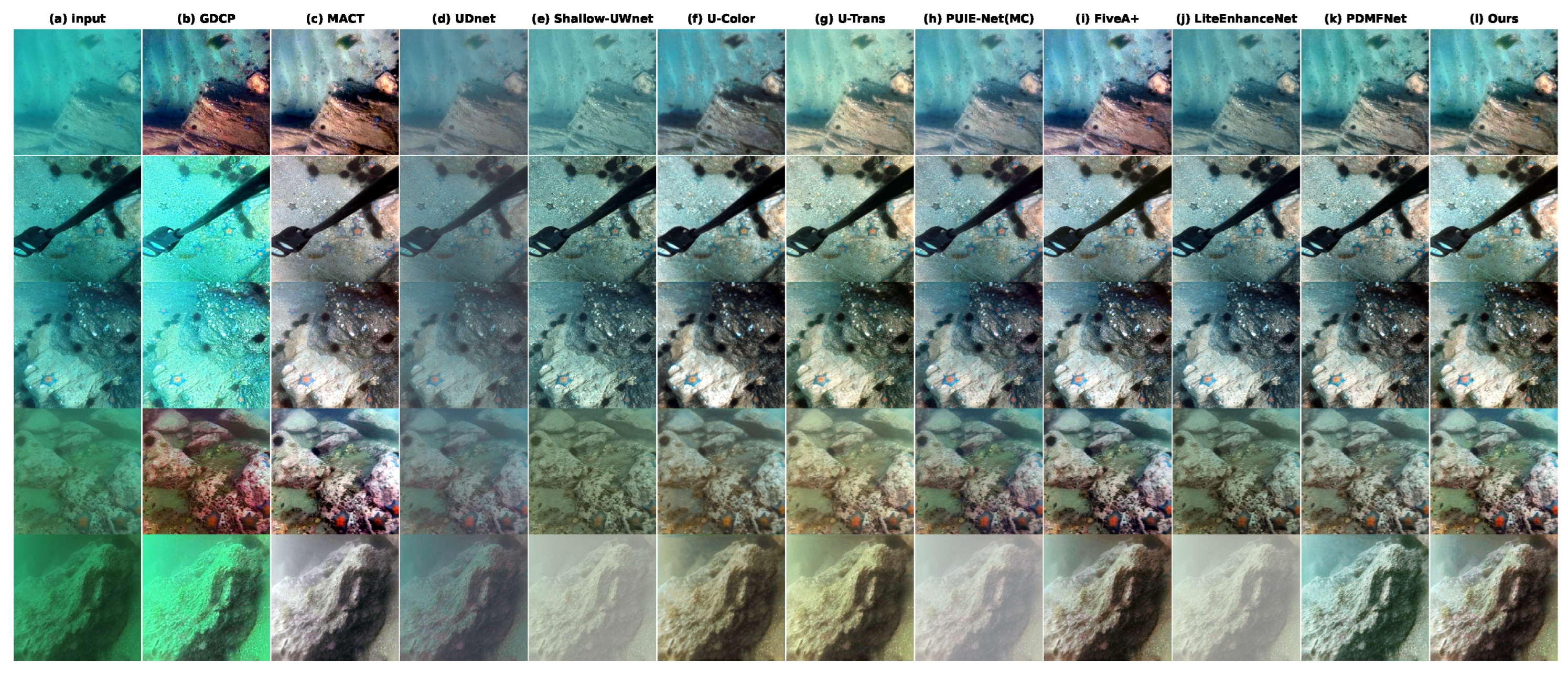 Underwater Image Enhancement via HSV-CS Representation and Perception ...