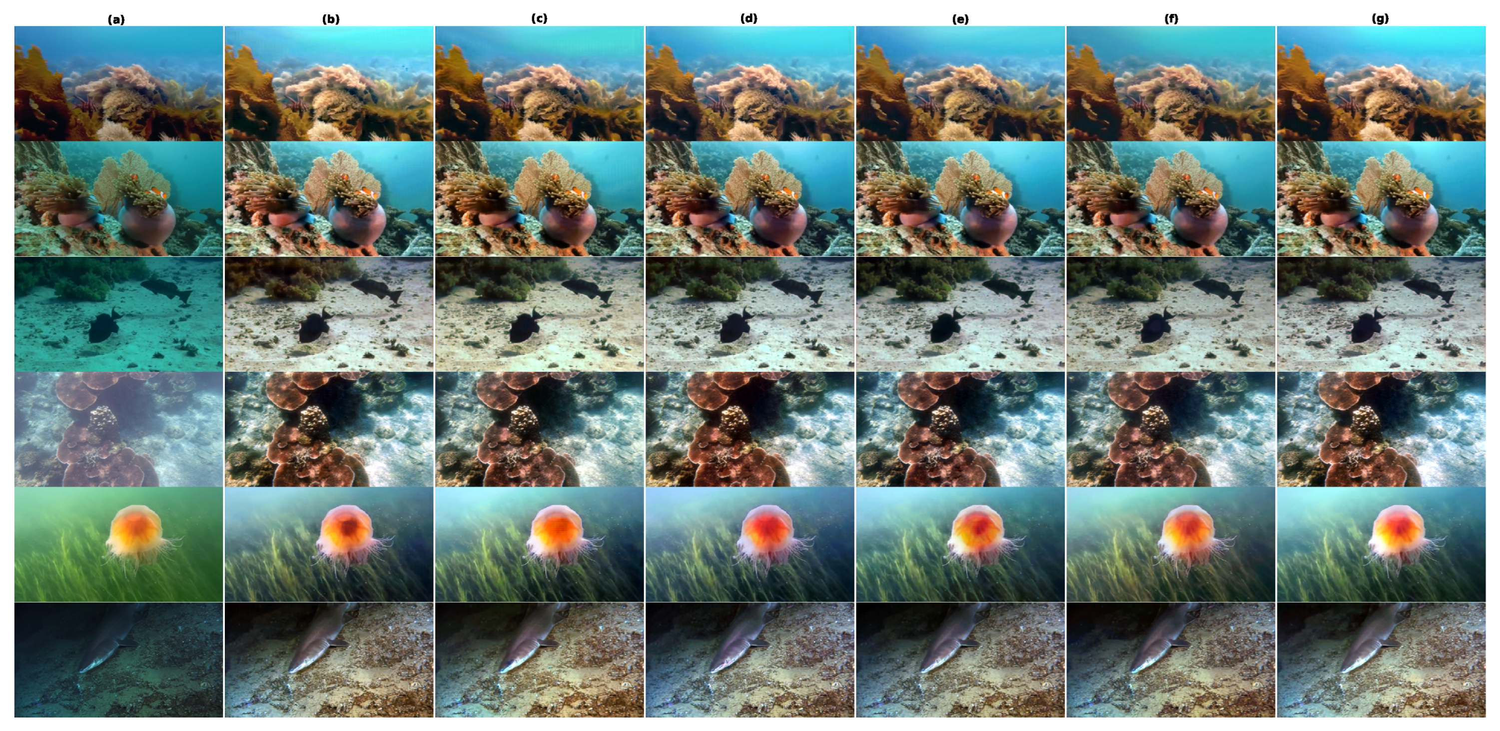 Underwater Image Enhancement via HSV-CS Representation and Perception ...