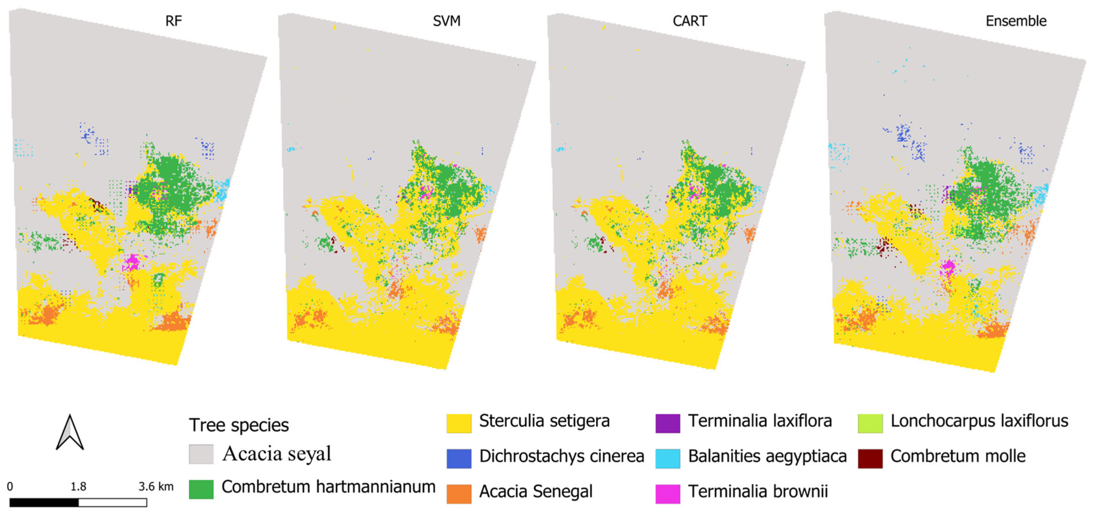 Machine Learning-Based Mapping of Dominant Tree Species in Dryland ...