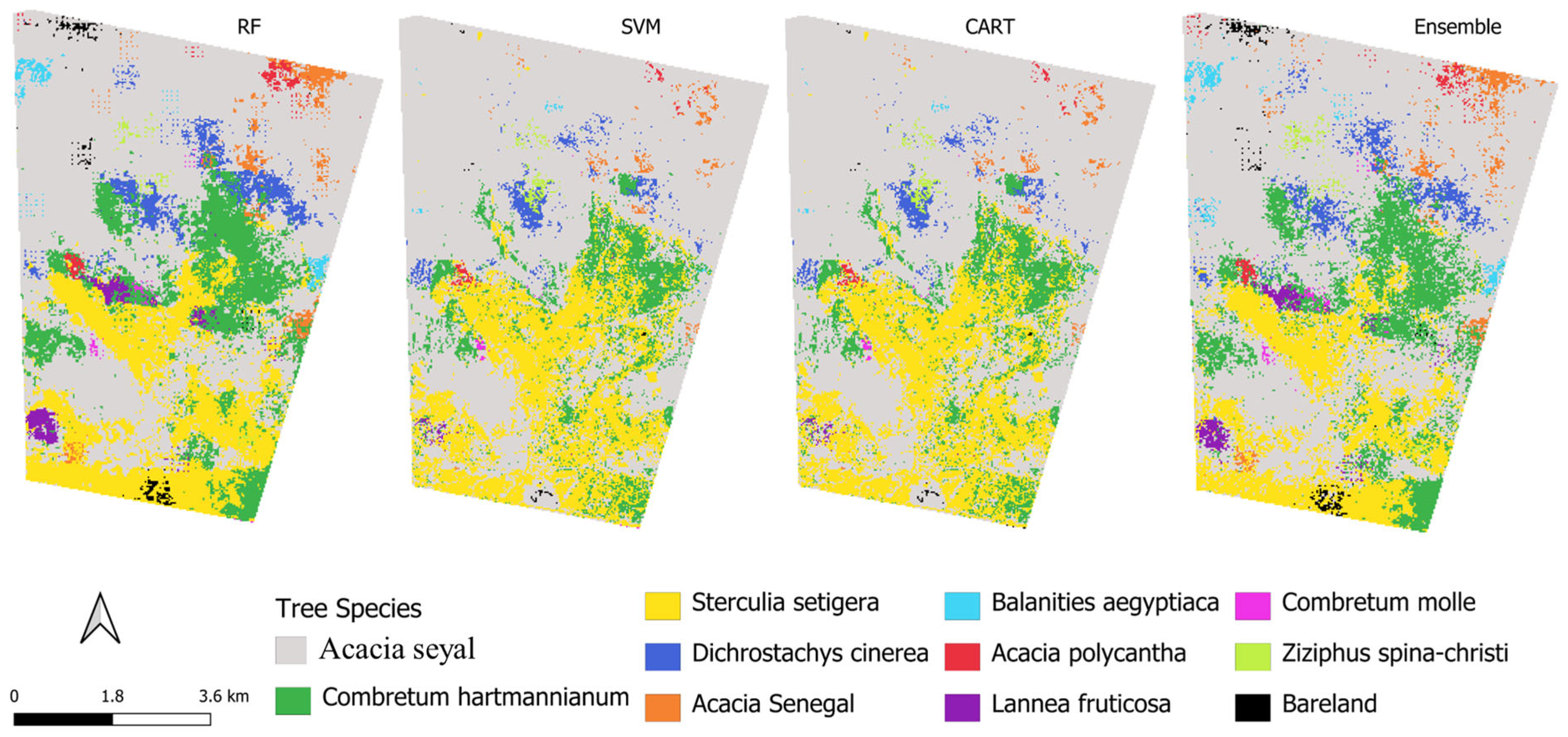 Machine Learning-Based Mapping of Dominant Tree Species in Dryland ...