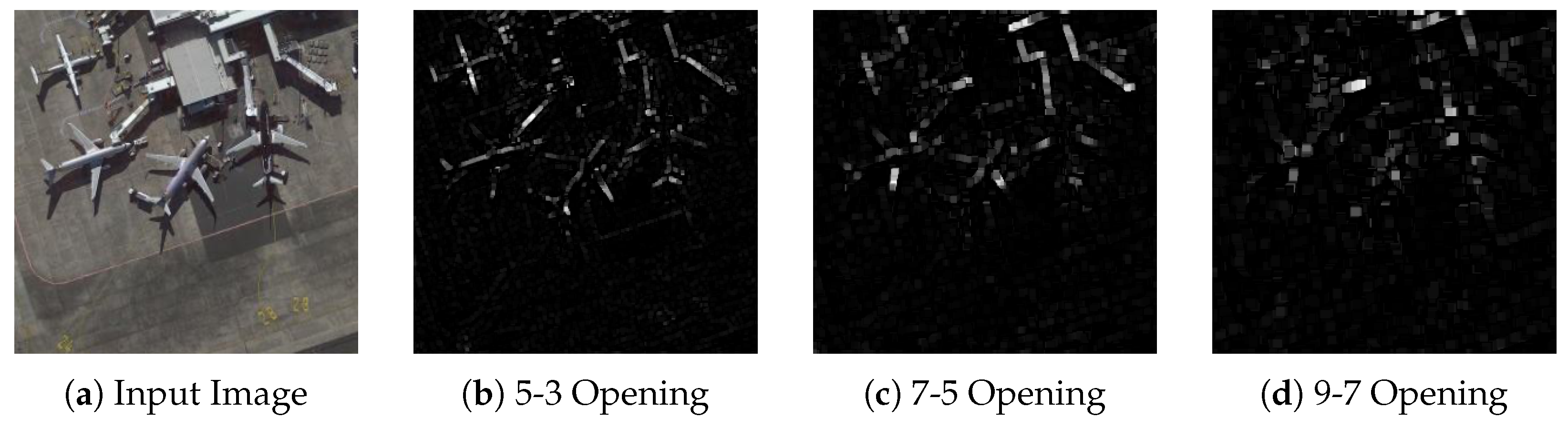 Differential Morphological Profile Neural Networks for Semantic ...